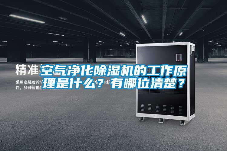 空氣凈化除濕機的工作原理是什么?有哪位清楚?