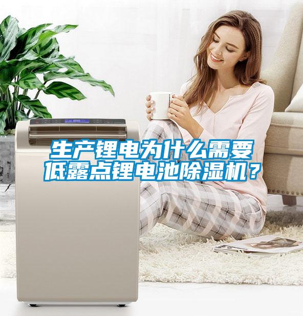 生產(chǎn)鋰電為什么需要低露點鋰電池除濕機(jī)？