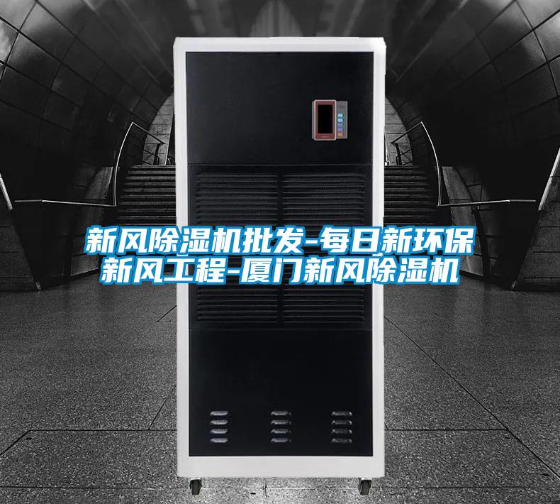 新風(fēng)除濕機(jī)批發(fā)-每日新環(huán)保新風(fēng)工程-廈門新風(fēng)除濕機(jī)