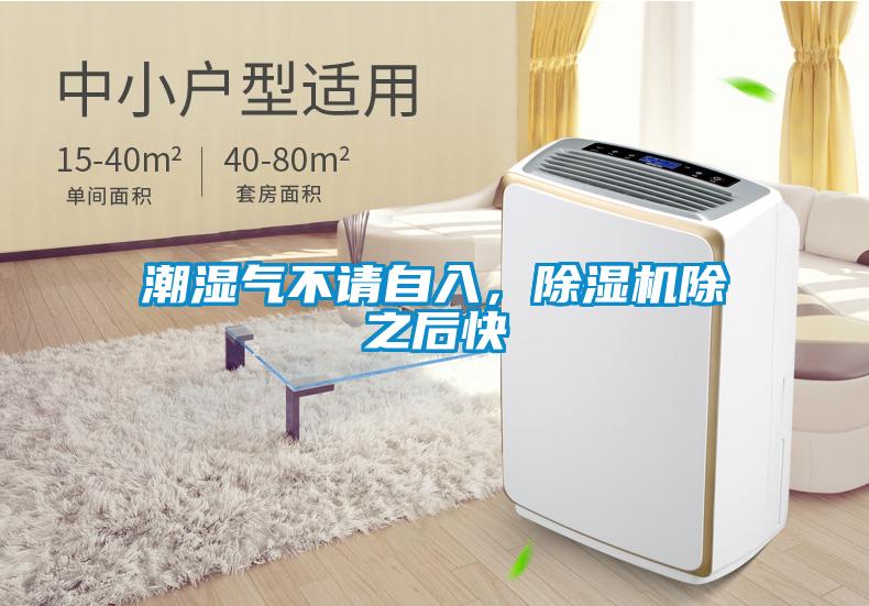 潮濕氣不請自入，除濕機除之后快