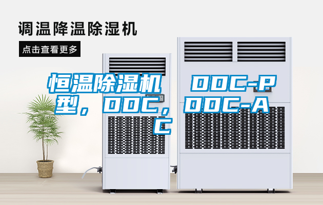 恒溫除濕機(jī)  DDC-P型，DDC，DDC-AC