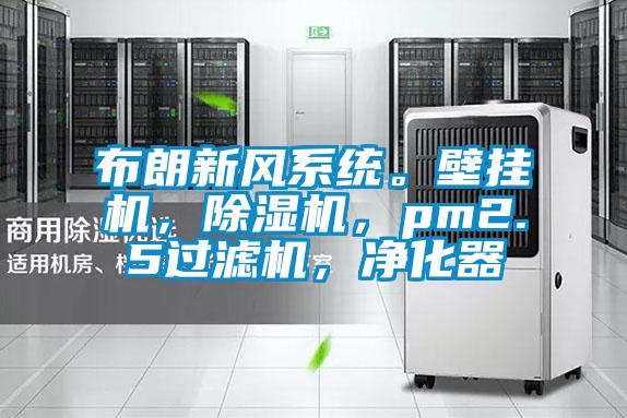 布朗新風(fēng)系統(tǒng)。壁掛機(jī)，除濕機(jī)，pm2.5過濾機(jī)，凈化器