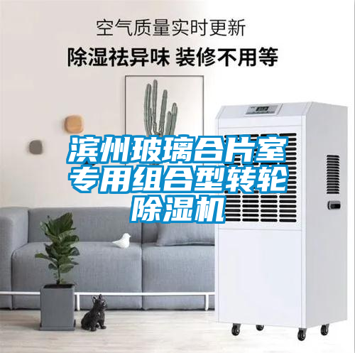 濱州玻璃合片室專用組合型轉輪除濕機