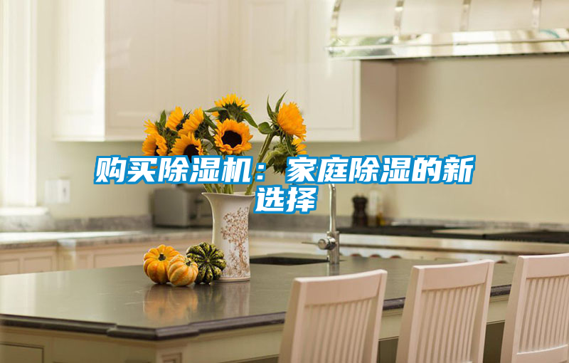 購買除濕機:家庭除濕的新選擇