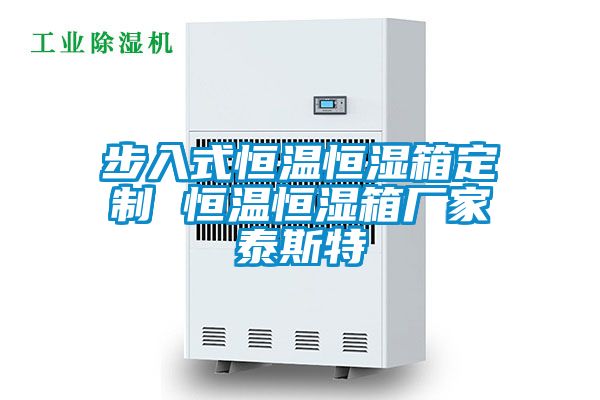 步入式恒溫恒濕箱定制 恒溫恒濕箱廠家泰斯特