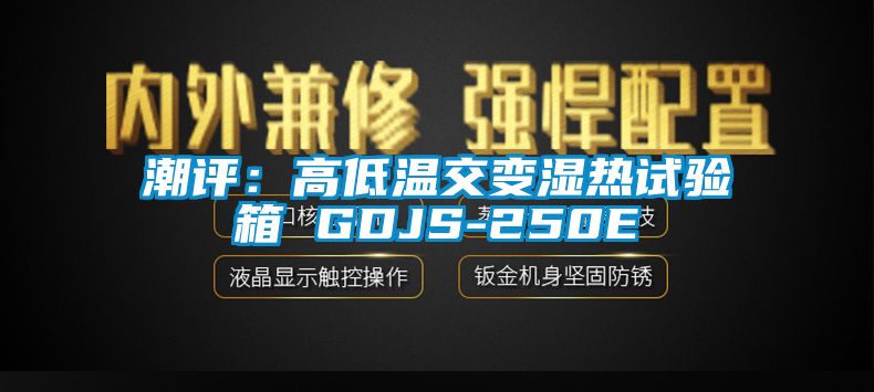 潮評(píng):高低溫交變濕熱試驗(yàn)箱 GDJS-250E