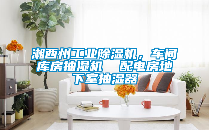 湘西州工業(yè)除濕機(jī)，車(chē)間庫(kù)房抽濕機(jī)  配電房地下室抽濕器
