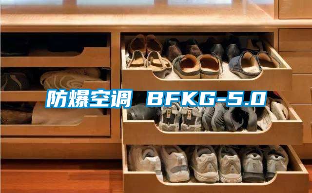 防爆空調 BFKG-5.0