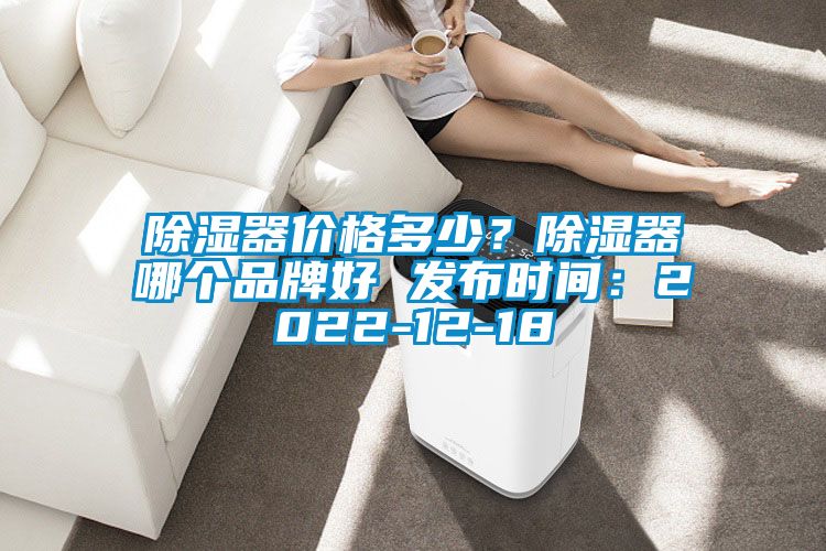 除濕器價格多少？除濕器哪個品牌好 發布時間：2022-12-18