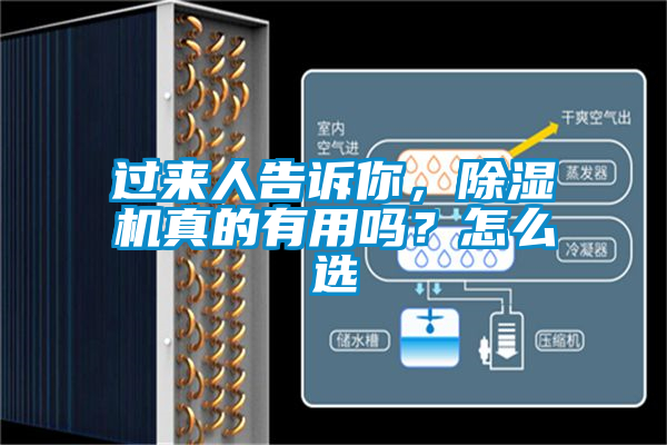 過來人告訴你，除濕機真的有用嗎？怎么選