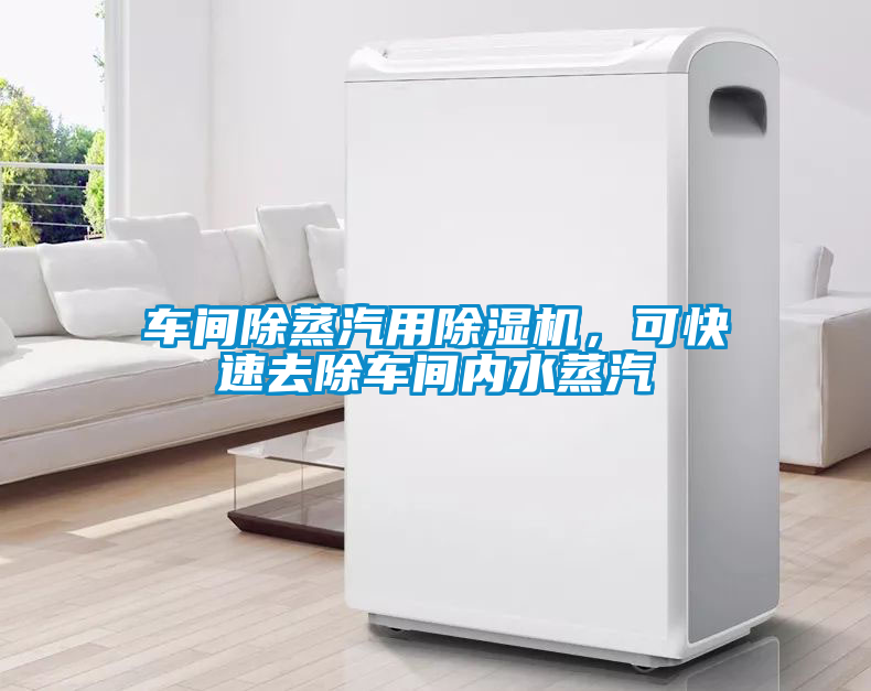 車間除蒸汽用除濕機，可快速去除車間內水蒸汽